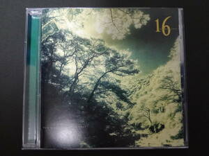 16 TAMBOURINES /how green is your valley? レア 国内 廃盤 CD ネオアコ ギターポップ １６タンバリンズ danny wilson prefab sprout