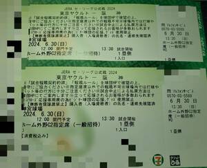 【1円～送料無料】6月30日(日) ヤクルト×阪神 神宮球場 ホーム外野席ペア