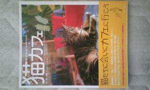 中古☆猫カフェ