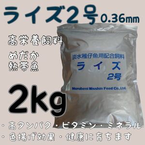 高栄養飼料 メダカ餌 ライズ2号 2kg アクアリウム 熱帯魚 グッピー 金魚