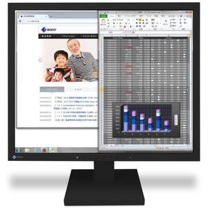 【中古】EIZO FlexScan S1934-TBK （19.0型モニター/1280×1024/スクエアモデル/疲れ目軽減/ブラック/The wa