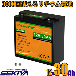 リン酸鉄リチウム電池 12v 30Ah 384Wh 3000回寿命 BMS保護 軽量 コンパクト LiFePO4 ディープサイクルバッテリー SEKIYA