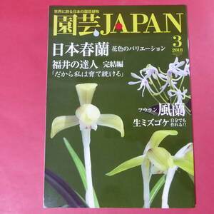 YN4-241219☆自然と野生ラン 2015年1月号　豆弁蘭 フクジュソウ セッコク フウラン ※ 園芸JAPAN