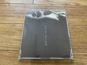 12 CD cd 元ちとせ　ワダツミの木