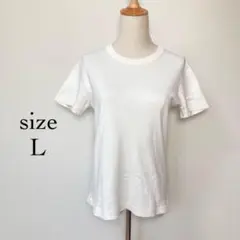 クルーネックＴシャツ✨オーガニックコットン100%【Ｌ】半袖　ベーシック