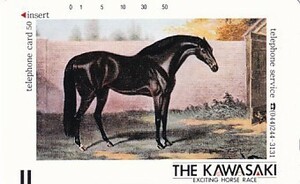 ●THE KAWASAKI 川崎競馬テレカ1