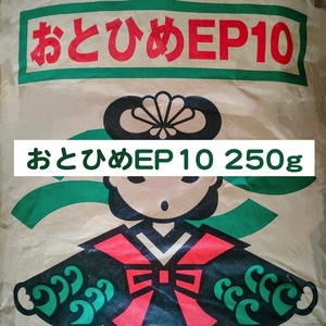 日清丸紅飼料 おとひめEP10 250g ※送料無料※