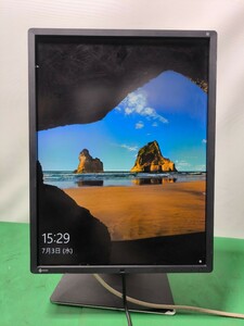 (使用時間：40000〜50000H）EIZO 21.3型 RadiForce RX350液晶モニター 高さ調整 縦回転 電源コード付き