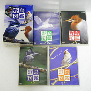 【中古 DVD BOX】NHK 野鳥図鑑：4枚組 DVD ボックス：究極の映像図鑑：全379種収録