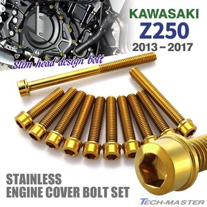 Z250 ER250 エンジンカバーボルト 11本セット ステンレス製 スリムヘッド カワサキ車用 ゴールドカラー TB8067