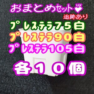 ◆送料無料◆プレステラ白 75＆90＆105 各10個 多肉植物 プラ鉢 スリット鉢