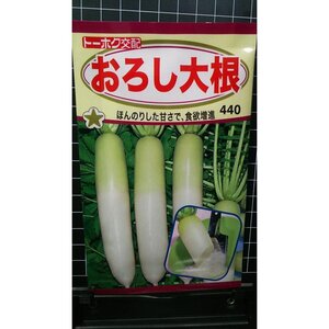 ３袋セット おろし 大根 種 郵便は送料無料 だいこん