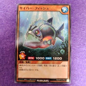 遊戯王 ラッシュデュエル サイバー・フィッシュ ノーマル RD/KP15-JP020