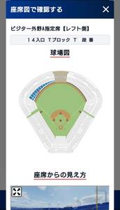 ６月３０日(日) 神宮球場 東京ヤクルトスワローズ 対 阪神タイガース ビジター外野Ａ指定席【レフト側】１枚