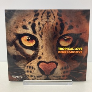 YC2 電気グルーヴ DENKI GROOVE / TROPICAL LOVE 初回生産限定盤 DVD付