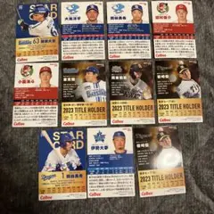 プロ野球チップスカード　タイトルホルダー・スターカード入り　2024