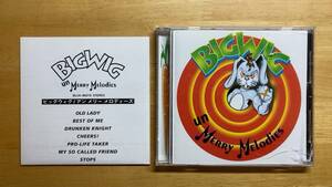 BIGWIG Big Wig Unmerry Melodies 国内盤CD 歌詞対訳解説付き nofx snuffy smile メロコア