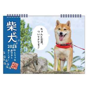 壁掛けカレンダー2025年 柴犬やんちゃなおはなしカレンダー B5 2025Calendar いぬ APJ