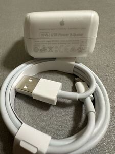 Apple 10W USB Power Adapterと Lightning ライトニングケーブル　Apple純正品