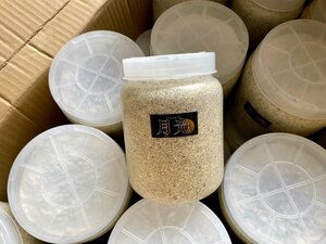 リリーフ様のタラレギカワラ「月光」800菌糸ボトル　タランドゥス・レギウスの食性に合わせて開発されました