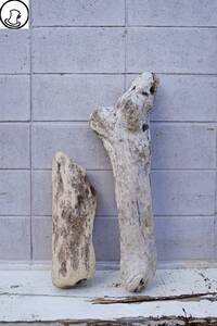 SEASIDEinterior☆短め流木の2本セット,Cool driftwood for decorating 10