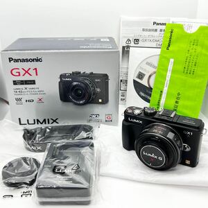 Panasonic LUMIX DMC-GX1X LUMIX G X VARIO 1:3.5-5.6 14-42mm ASPH ミラーレス一眼 カメラ レンズ キット 通電確認済 現状品