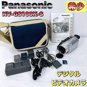 Panasonic パナソニック NV-GS100K-S デジタルビデオカメラ