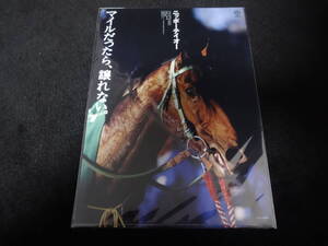 JRA ヒーロー列伝No.24 ニッポーテイオー クリアファイル 新品未開封 2016年来場ポイント