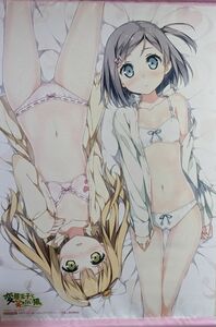 変態王子と笑わない猫。BD アニメイト全巻購入特典 B3 タペストリー /カントク 筒隠月子 小豆梓