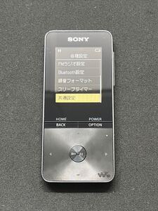 SONY NW-S313 ソニー walkman ポータブル デジタルオーディオプレーヤー 