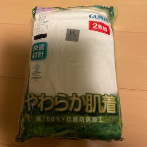 送料込み　新品　グンゼ GUNZE スパンブリーフ 前あき　2枚組　LL やわらか肌着　綿100% 抗菌防臭加工　快適設計　送料無料