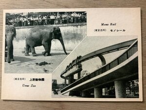 FF-4310 ■送料無料■ 東京都 モノレール 懸垂電車 上野動物園 象 動物 人 風景 景色 レトロ 絵葉書 写真 古写真/くNAら