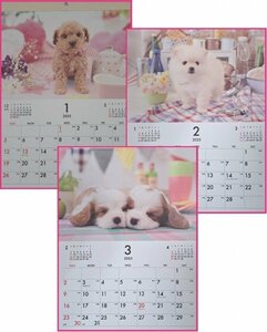 【１冊：すぐに発送：可愛い 子犬 カレンダー:B4 39x25cm】★2025年：犬 いぬ イヌ 仔犬★12か月・12面タイプ