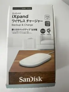 SanDisk SDIZ90N-256G（開封のみ）