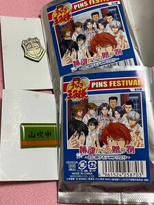 劇場版 テニスの王子様 PINS FESTIVAL 2個セット ルドルフ 山吹中 難あり ピンズ バッチ 跡部からの贈り物 君に捧げるテニプリ祭り