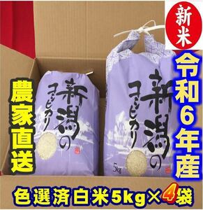 新米　令和6年産　新潟コシヒカリ　白米5kg×4個★農家直送★色彩選別済22