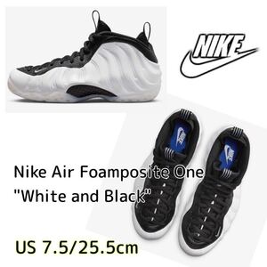 Nike Air Foamposite One White and Black ナイキ エアフォームポジット ワン ホワイト アンド ブラック(DV0815-100)白25.5cm箱無し