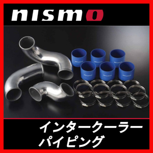 ニスモ NISMO インタークーラーパイピング スカイラインGT-R BNR34 1446A-RSR45