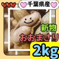 ④♥️1023　2kg★新物　生落花生【おおまさり】大粒　農家直送　千葉