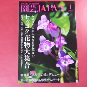 YN4-241219☆園芸JAPAN 2019年1月号　富貴蘭 セッコク 錦葉 ※ 自然と野生ラン