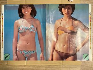 明星6月号付録 昭和アイドル 歌手 石野真子 山口百恵 アリス KAIBAND 1979年 ポスター コレクション