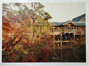 絵葉書　京都　東福寺　通天橋の紅葉　　　　　　　　　　　　　　　　　　　　　　　　　　　　　