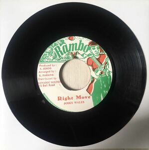 [Punnany Riddim] Josey Wales - Right Move / Reggae 80’s Dancehall Foundation Dub / 45RPM 7インチレコード