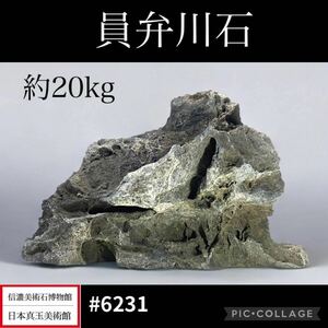 【秋の感謝祭】水石 盆栽 大型 員弁川石 横43.2×高26×奥行20(cm) 20.55kg 骨董盆石古美術鑑賞石観賞石太湖石中国古玩 6231