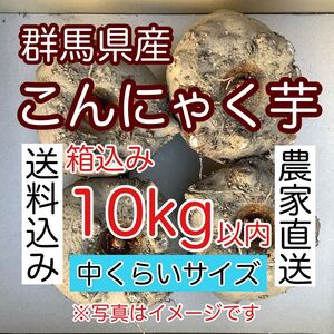 【群馬県産】こんにゃく芋　箱込み10kg以内　手作りこんにゃく【中サイズ】