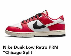 Nike Dunk Low Retro PRM Chicago Splitナイキ ダンク ロー レトロ PRM シカゴ スプリット28.5cm