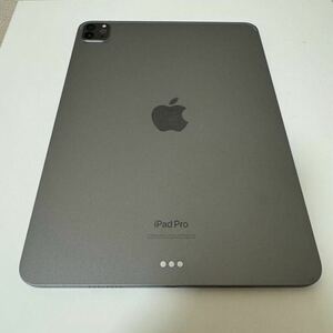 iPad Pro 11インチ第4世代256GB WiFiモデル スペースグレー MNXF3J/A Apple 