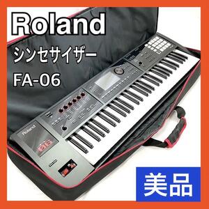 ローランド シンセサイザー FA-06 ミュージックワークステーション Roland Music Workstation 専用ソフトケース付き