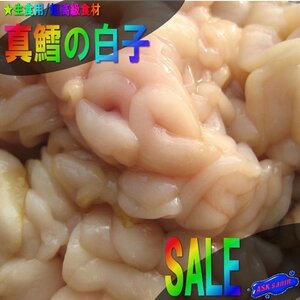 超高級食材「真鱈（まだら）白子500g」クリ～ミィです。