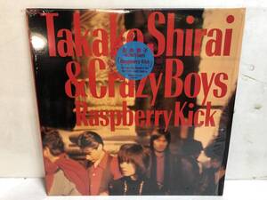 40219S 美盤 12inch LP★白井貴子/TAKAKO SHIRAI & CRAZY BOYS/RASPBERRY KICK★28AH 2022